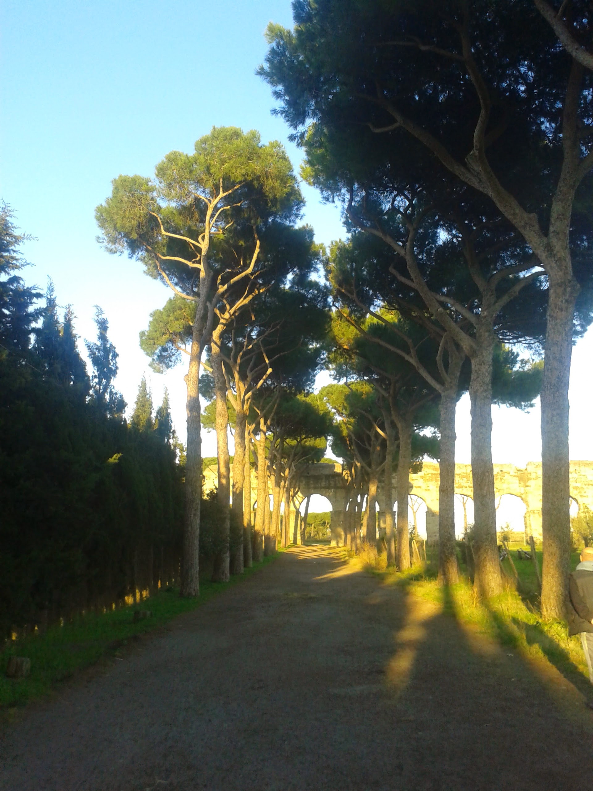 ParK of the acqueducts