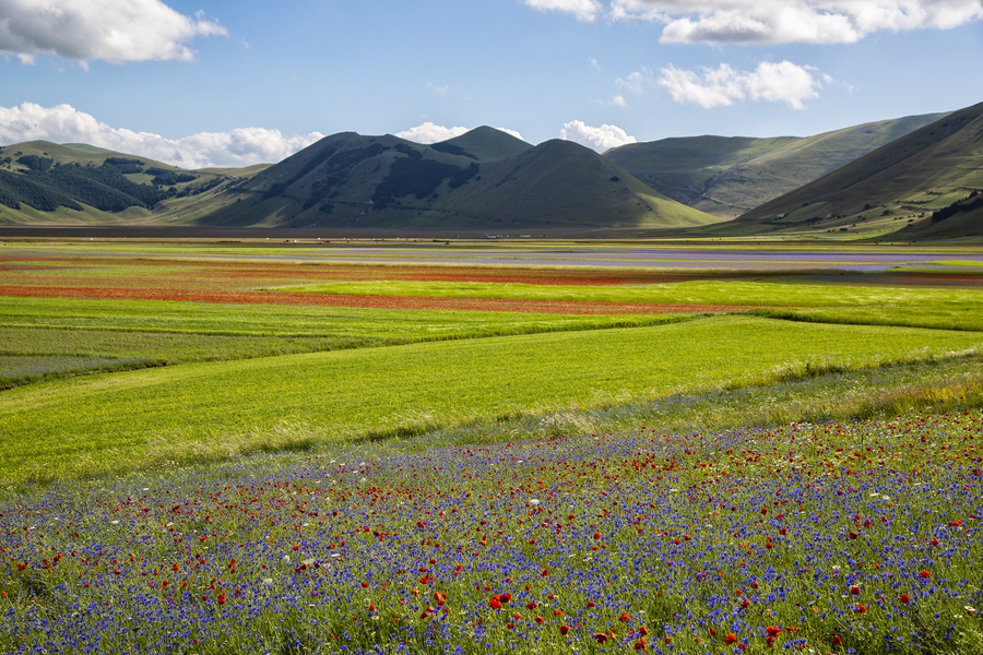 Castelluccio di Norcia