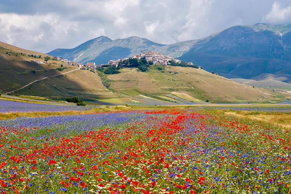 Norcia